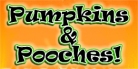 Pumpkins and pooches